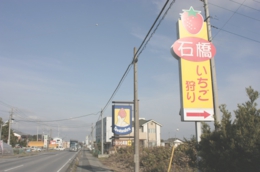 苺狩り看板
