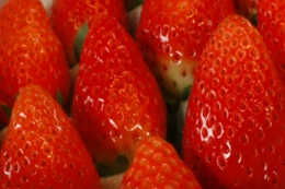 IMG_20120205_6405.JPG