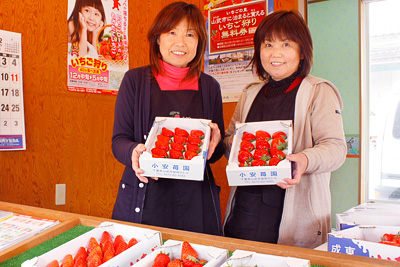 小安苺園