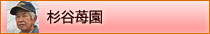 r-menu_sugiya.jpg