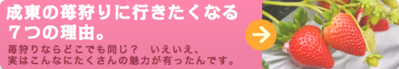 放射能安全性公開データ