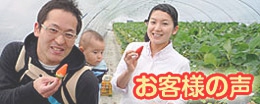 お客さまの声