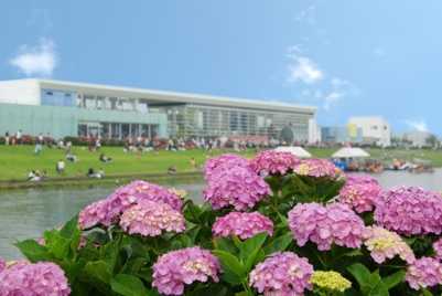 道の駅 多古あじさい館