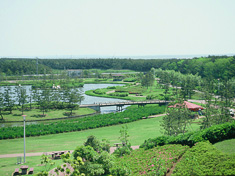 蓮沼海浜公園
