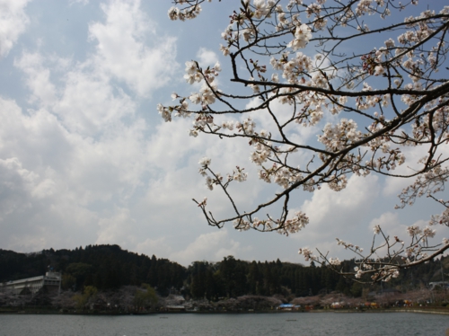 山武市歴史民族資料館