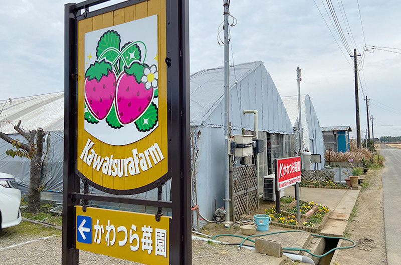 かわつら苺園看板