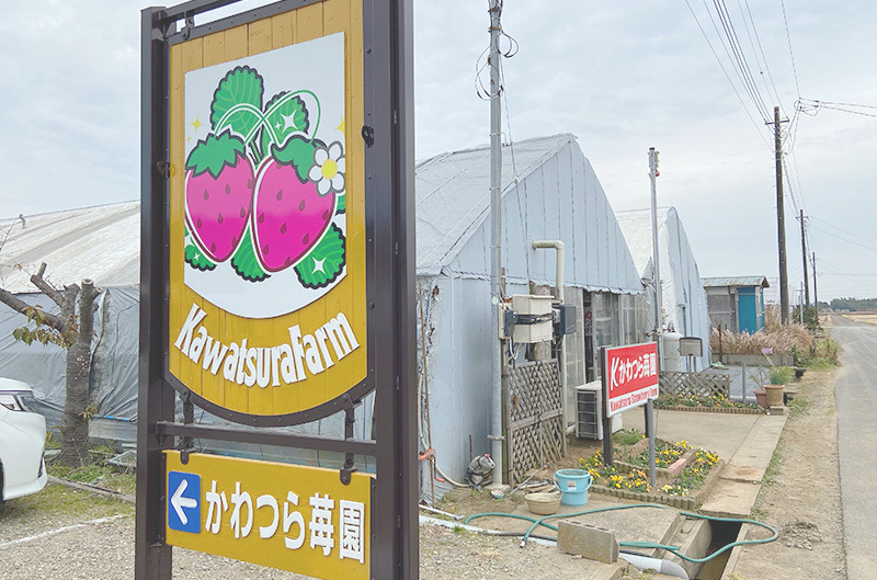 かわつら苺園看板