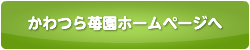 かわつら苺園ホームページへ