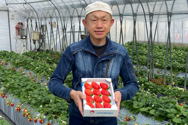 作田苺園