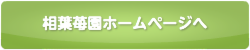 相葉苺園ホームページへ