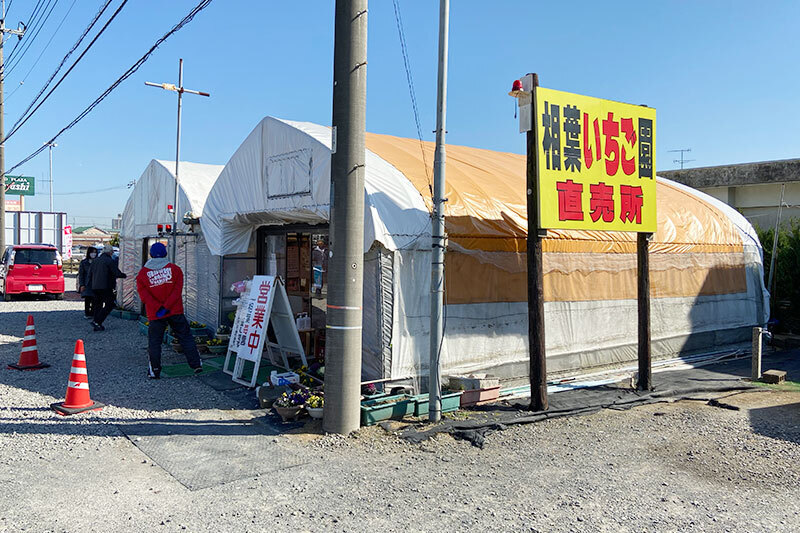 相葉苺園直売所