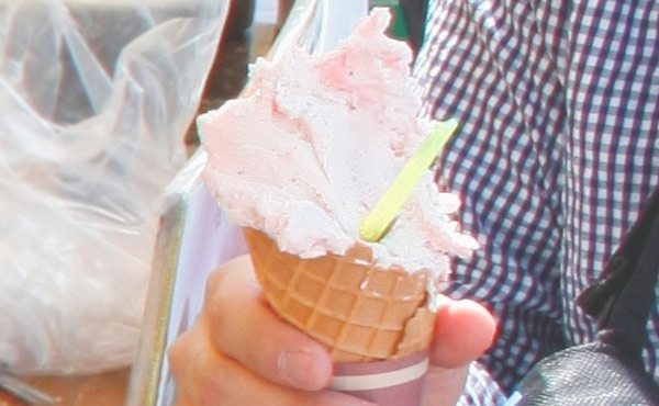 ナミキアイス工房「完熟苺のアイスクリーム」
