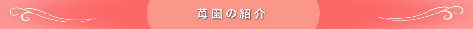 苺園の紹介