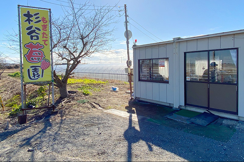 杉谷苺園 受付／直売所