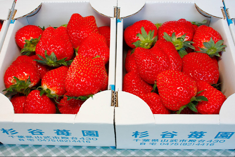 アルコール消毒