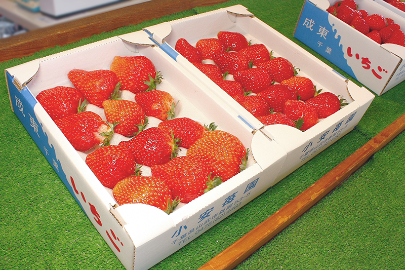 贈答用いちご