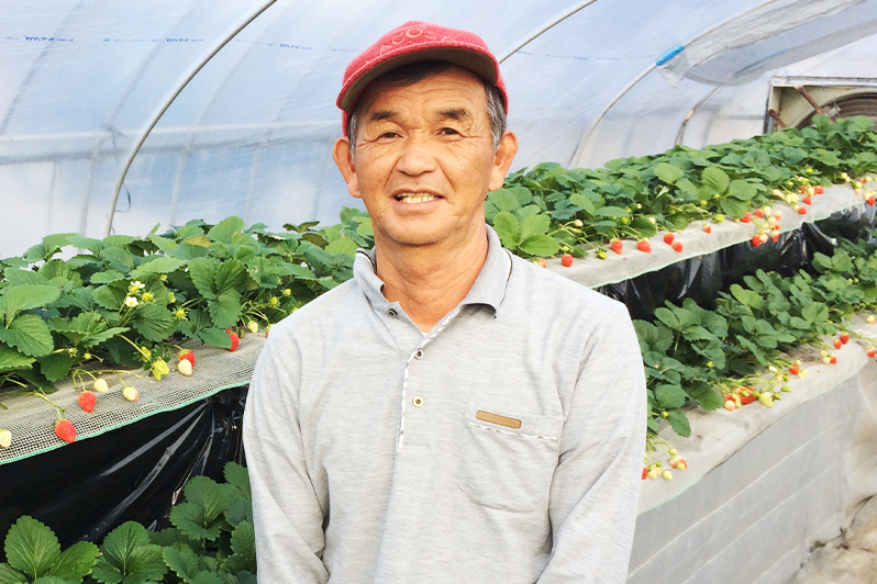 ストロベリーハウスおて