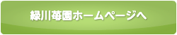 緑川苺園ホームページへ
