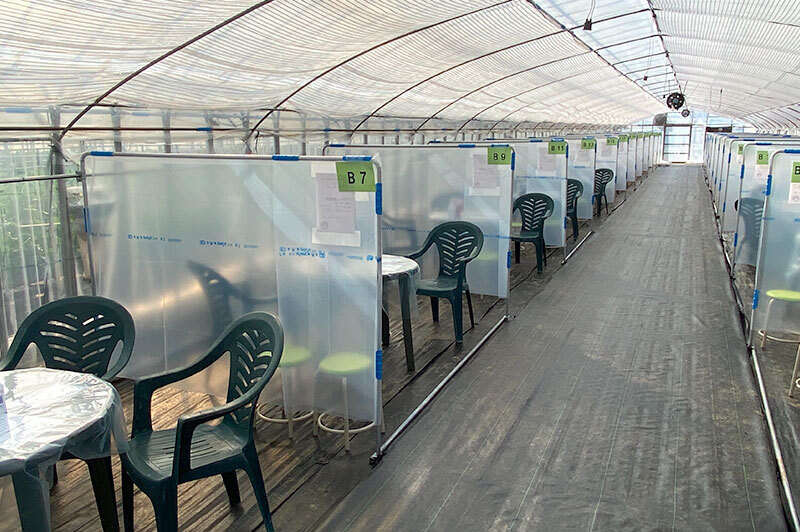 相葉苺園 千葉県 山武市成東観光苺組合 相葉苺園 千葉県 山武市成東観光苺組合